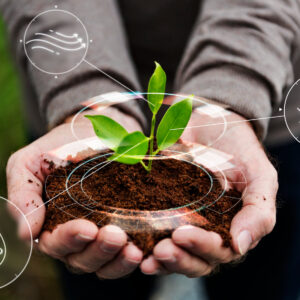 &ldquo;Fermare la deregolamentazione dei nuovi Ogm&rdquo;: l&rsquo;ultimo appello di Slow Food