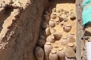 In Egitto trovate anfore di vino di 5.000 anni fa: le analisi ne scopriranno composizione e uso In Egitto trovate anfore di vino di 5.000 anni fa: le analisi ne scopriranno composizione e uso