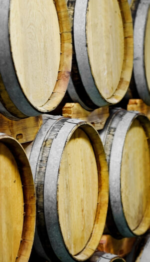 Le giacenze di vino italiano crescono ancora: 44,5 milioni di ettolitri al 31 ottobre 2025 (+5,2%)