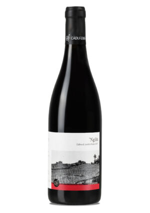 Cà du Ferrà, Dop Colline di Levanto Rosso ’Ngilù 2023