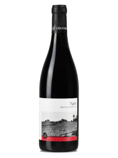 CA’ DU FERRÀ, COLLINE DI LEVANTO, ROSSO, Su i Vini di WineNews