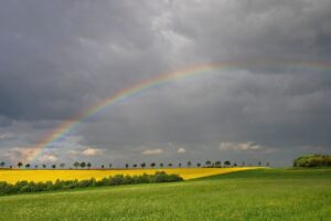 Italia &ldquo;arcobaleno dell&rsquo;acqua&rdquo;: agricoltura gi&agrave; in allerta tra siccit&agrave; al Sud e inondazioni al Nord