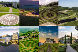 Ca’ del Bosco, Donnafugata, Tedeschi, Antinori, San Leonardo: le cantine più “popolari” d’Italia Ca’ del Bosco, Donnafugata, Tedeschi, Antinori, San Leonardo: le cantine più “popolari” d’Italia