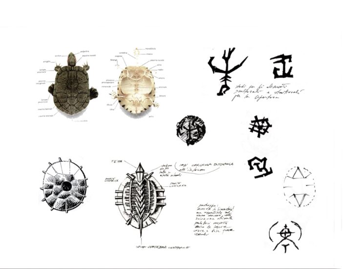 Disegni preparatori Carapace