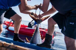 Nasce il marchio “Firmato dai Pescatori Italiani” per valorizzare la pesca e la trasparenza Nasce il marchio “Firmato dai Pescatori Italiani” per valorizzare la pesca e la trasparenza