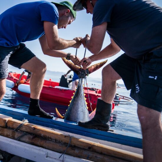 La tonnara di Carloforte (ph: Facebook Carloforte Tonnare)