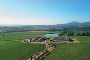 Il museo “Le macchine del vino” by Carpineto entra nella Fondazione Musei Senesi