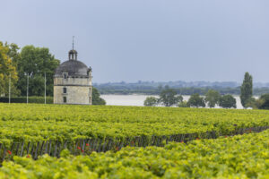 Bordeaux “en primeur”: continuano i ribassi nei rilasci dei prezzi 2024, mentre parla la critica Bordeaux “en primeur”: continuano i ribassi nei rilasci dei prezzi 2024, mentre parla la critica