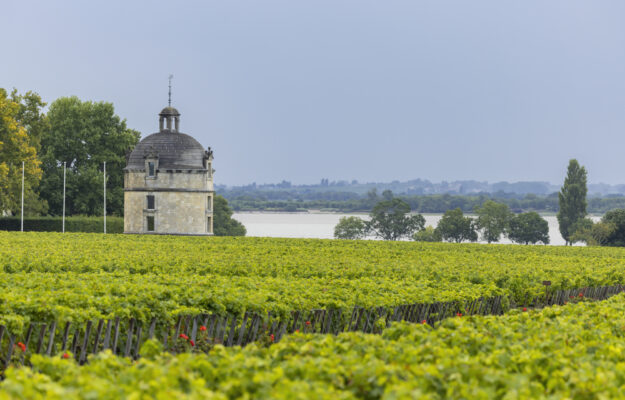 Bordeaux, BORDEAUX EN PRIMEUR, LATOUR, LIV-EX, MERCATO, vino, WINE LISTER, Mondo