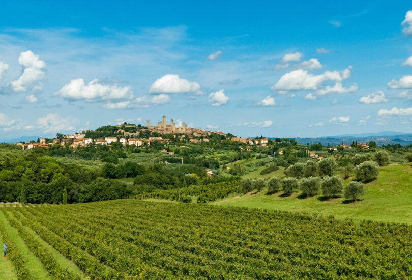 Consorzio Vernaccia di San Gimignano - Città dai vigneti