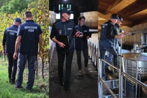 Sicurezza alimentare: nel 2024 oltre 54.000 prodotti e 28.000 operatori controllati dall’Icqrf Sicurezza alimentare: nel 2024 oltre 54.000 prodotti e 28.000 operatori controllati dall’Icqrf