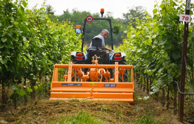 ENOVITIS IN CAMPO, EXPORT, MACCHINARI, MADE IN ITALY, MERCATI, TECNOLOGIE, UNIONE ITALIANA VINI, VITICOLTURA, Italia