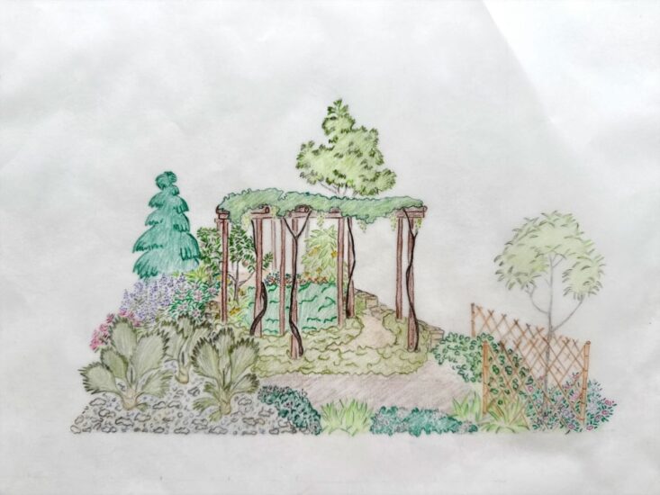 Il “Giardino della Palma Mazari” di Nicholas Roth