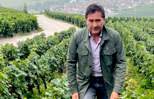 CONSUMI, FUTURO, LORENZO TERSI, vino, Italia