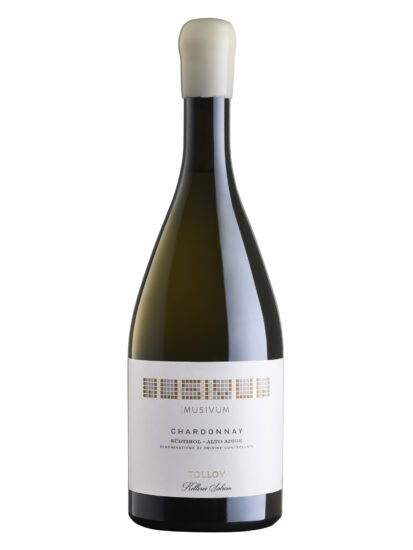 ALTO ADIGE, CHARDONNAY, MEZZACORONA, Su i Vini di WineNews
