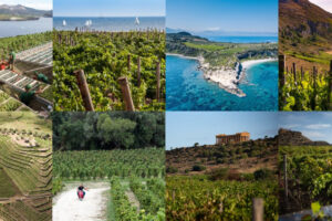 Sicilia, una “pioniera” nel raccontare al mondo il mix vino-cibo-territori che rende unica l’Italia Sicilia, una “pioniera” nel raccontare al mondo il mix vino-cibo-territori che rende unica l’Italia