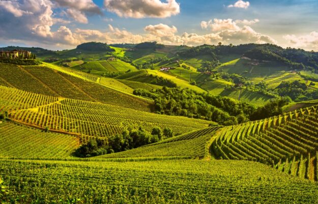 Il valore dei Cru, tra storia e futuro, per le Langhe di Barolo e Barbaresco e non solo