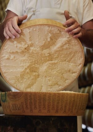 Pegno rotativo, Consorzio Parmigiano Reggiano e Banca Mps siglano un nuovo protocollo