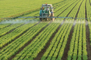 Sempre meno pesticidi in Europa, e soprattutto in Italia. Che però rischia di perdere produzione Sempre meno pesticidi in Europa, e soprattutto in Italia. Che però rischia di perdere produzione