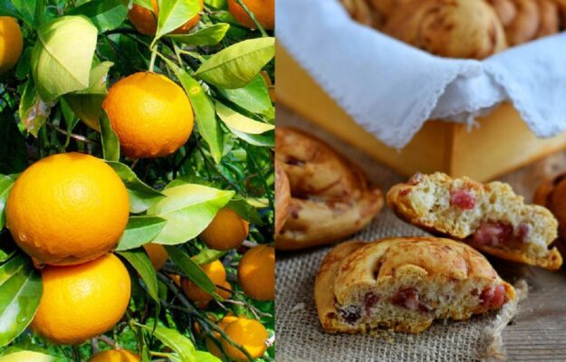 CIBO BUONO PULITO E GIUSTO, ORTI SLOW FOOD, PRESIDI SLOW FOOD, SLOW FOOD, SLOW FOOD DAY, Non Solo Vino