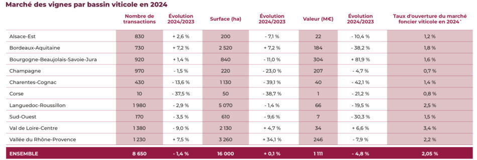 Francia, giù il valore dei vigneti. I dati Safer