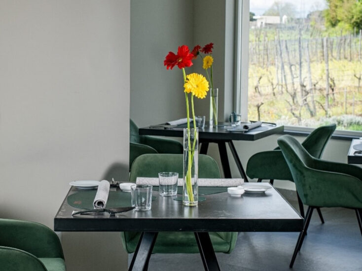 CASA SETARO, NAPOLI, RISTORANTE, TRECASE, VIGNA DELLE ROSE, Ristoranti ed Enoteche, Su i Vini di WineNews