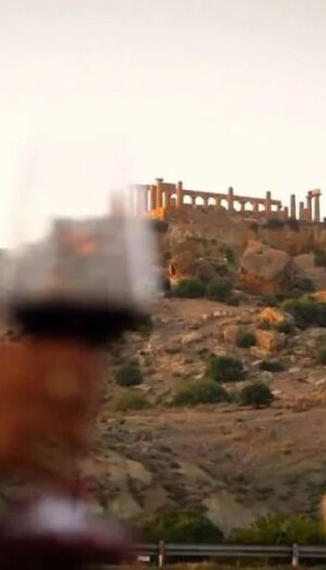 Cresce l&rsquo;enoturismo in Sicilia: nel 2025 il 61,4% delle cantine ha avuto pi&ugrave; visitatori