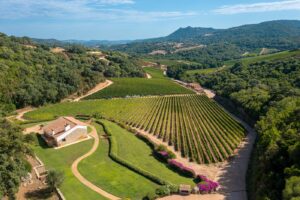 The best Vermentino of Italy is made in Sardinia: Bèru by Siddùra winery first among 200 labels