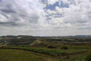 La Sicilia: l’isola dei vigneti e dei giovani vignaioli