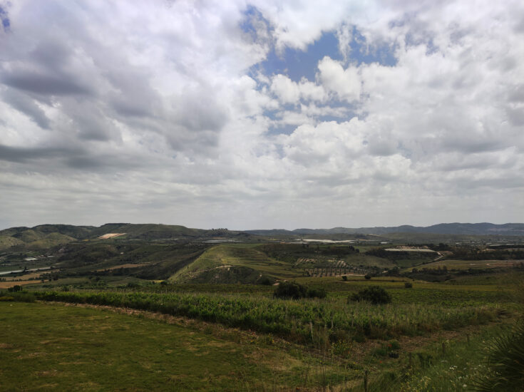 ASSAGGI, ENOGASTRONOMIA, ENOTURISMO, GIOVANI, SICILIA, VIGNE, Su i Quaderni di WineNews