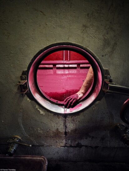 “The Hand in the Vat” di Franck Tremblay