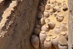 In Egitto trovate anfore di vino di 5.000 anni fa: le analisi ne scopriranno composizione e uso In Egitto trovate anfore di vino di 5.000 anni fa: le analisi ne scopriranno composizione e uso