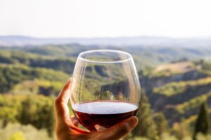 “Valtellina. Il Senso del Vino”: viaggio nella storia del legame “eroico” tra vino e territorio “Valtellina. Il Senso del Vino”: viaggio nella storia del legame “eroico” tra vino e territorio