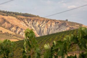 Il fondo White Bridge Investments II acquisisce Cirelli La Collina Biologica, in Abruzzo Il fondo White Bridge Investments II acquisisce Cirelli La Collina Biologica, in Abruzzo