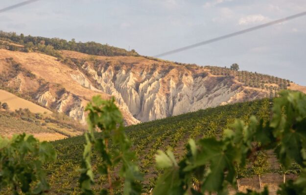 ABRUZZO, ACQUISIZIONI, CIRELLI LA COLLINA BIOLOGICA, FINANZA, INVESTIMENTI, WHITE BRIDGE INVESTMENTS II, Italia