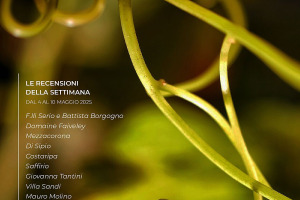 I Vini di WineNews - N. 361