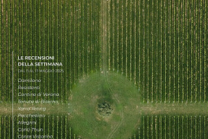 I Vini di WineNews - N. 362