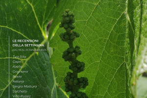 I Vini di WineNews - N. 363