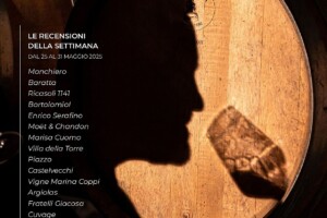 I Vini di WineNews - N. 364