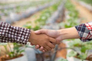 Coldiretti chiede all’Ue un cambio di rotta per salvare l’intera filiera agroalimentare Coldiretti chiede all’Ue un cambio di rotta per salvare l’intera filiera agroalimentare