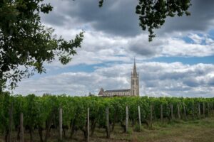 Bordeaux, tra crisi e piano di estirpazione, dal 2019 ad oggi persi 27.000 ettari di vigneti (-15%) Bordeaux, tra crisi e piano di estirpazione, dal 2019 ad oggi persi 27.000 ettari di vigneti (-15%)