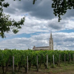 Ristrutturazione dei vigneti estirpati, un fondo da 20 milioni di euro in aiuto di Bordeaux