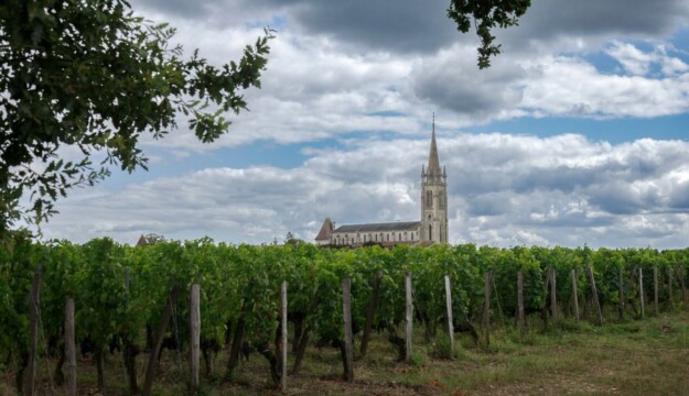 Ristrutturazione dei vigneti estirpati, un fondo da 20 milioni di euro in aiuto di Bordeaux