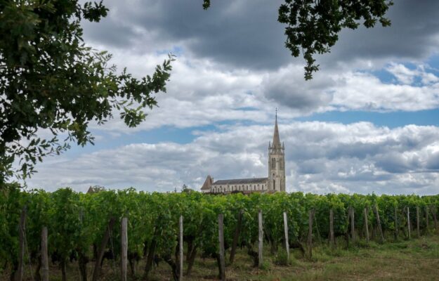 Bordeaux, ESTIRPAZIONE VIGNETI, FRANCIA, GOVERNO FRANCESE, Mondo