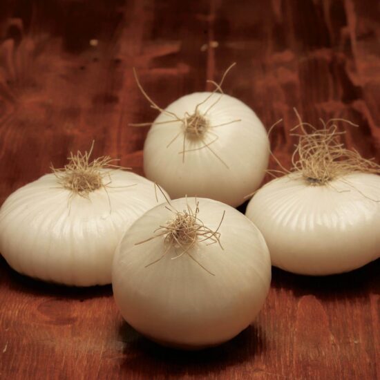 A Margherita di Savoia la Cipolla Bianca di Margherita Igp è la “Cipolla in festa: tra cielo e terra”