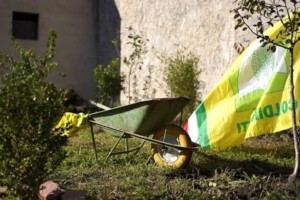 Agricoltura sociale, i detenuti tra le categorie pi&ugrave; presenti nei progetti delle fattorie solidali