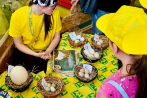 In Italia 4 studenti su 10 nelle scuole fanno merenda con i distributori automatici In Italia 4 studenti su 10 nelle scuole fanno merenda con i distributori automatici