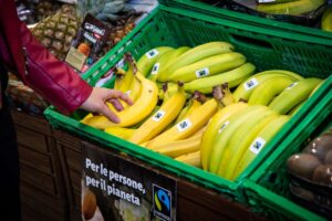Prodotti equo solidali certificati Fairtrade, nel 2024 in Italia vendite a 550 milioni di euro Prodotti equo solidali certificati Fairtrade, nel 2024 in Italia vendite a 550 milioni di euro