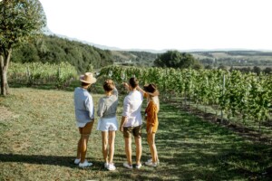 L’enoturismo non ha un feeling vincente con la Gen Z: “vanno capite le aspettative dei giovani” L’enoturismo non ha un feeling vincente con la Gen Z: “vanno capite le aspettative dei giovani”