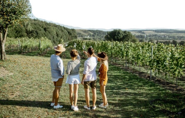 DIVINEA, ENOTURISMO, GEN Z, GENERAZIONE Z, TURISMO DEL VINO, WINE SUITE, Italia
